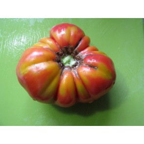 Tomato 'Mortgage Lifter' 