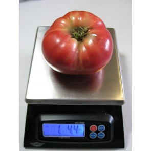 Tomato 'Tall Vine Brandywine'