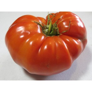Tomato 'Red Brandywine, Regular Leaf' Seeds (Certified Organic)