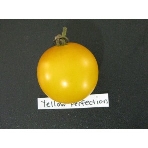 Tomato 'Yellow Perfection' Seeds (Certified Organic)