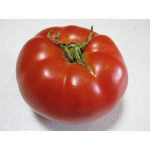 Tomato 'Adventure' Seeds (Certified Organic)