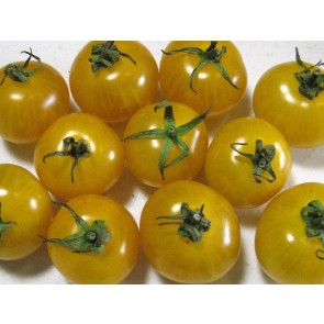 Tomato 'Ester Hess Yellow Cherry' Seeds (Certified Organic)