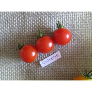 Tomato 'Sweetie' Seeds (Certified Organic)