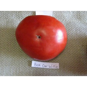 Tomato 'Boxcar Willie' Seeds (Certified Organic)