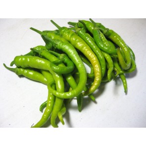 Sweet Pepper 'Jimmy Nardello' Seeds (Certified Organic)