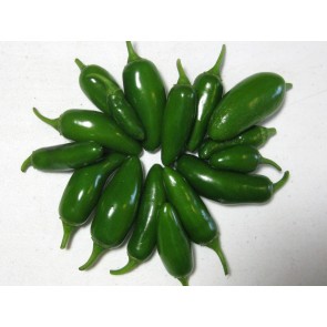 Hot Pepper ‘TAM Jalapeno’ Seeds (Certified Organic)