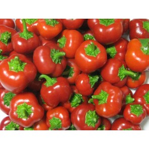 Sweet Pepper ‘Mini Red Bell’ Seeds (Certified Organic)