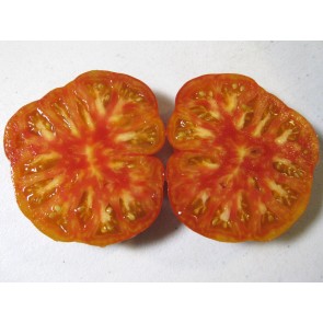 Tomato 'Northern Lights' Seeds (Certified Organic)