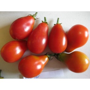 Tomato 'Red Pear' Seeds (Certified Organic)