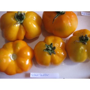 Tomato 'Yellow Stuffer' Seeds (Certified Organic)