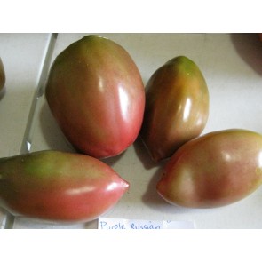 Tomato 'Purple Russian' Seeds (Certified Organic)