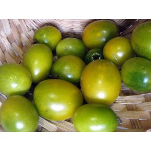 Tomato 'Green Grape'