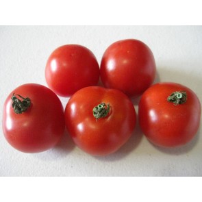 Tomato 'Gardener's Delight' Seeds (Certified Organic)