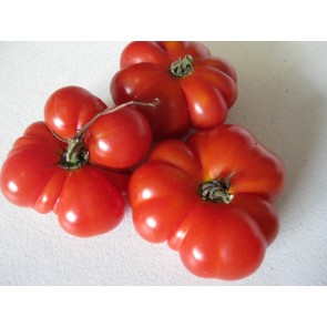 Tomato 'Ceylon' Seeds (Certified Organic)