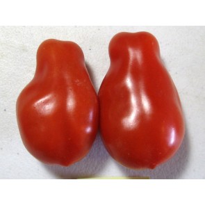 Tomato 'San Marzano' Seeds (Certified Organic)