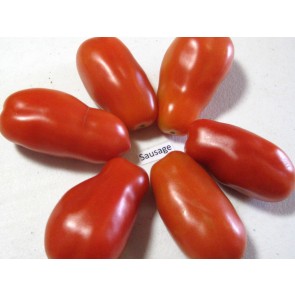 Tomato 'Sausage' Seeds (Certified Organic)