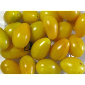 Tomato 'Chang Li' Seeds (Certified Organic)