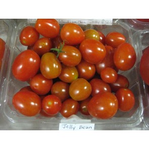 Tomato 'Jelly Bean' Seeds (Certified Organic)