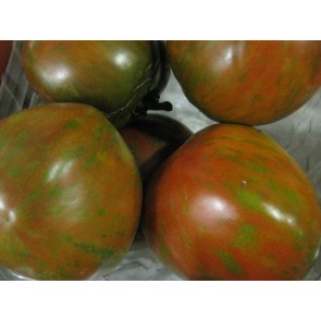 Tomato 'Black and Red Boar' 