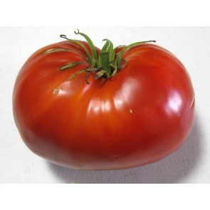 Tomato 'Donskoi'