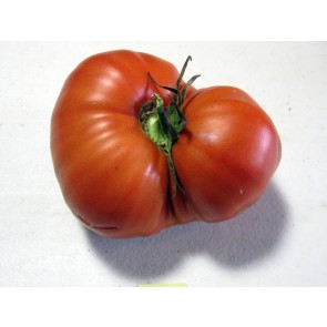 Tomato 'Aussie' Seeds (Certified Organic)
