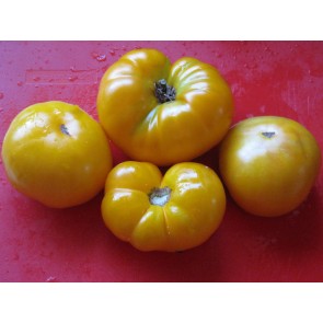 Tomato 'Azoychka' Seeds (Certified Organic)