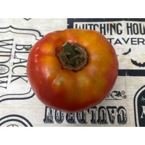 Tomato 'Nepal' Seeds (Certified Organic)