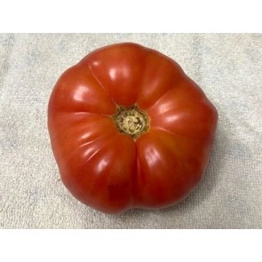 Tomato 'Sunset Puff' Seeds (Certified Organic)