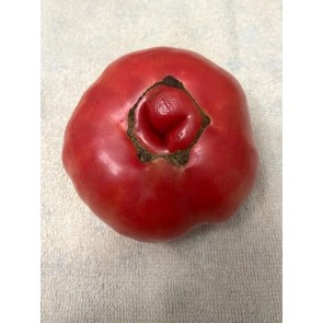 Tomato 'Sunset Puff' Seeds (Certified Organic)