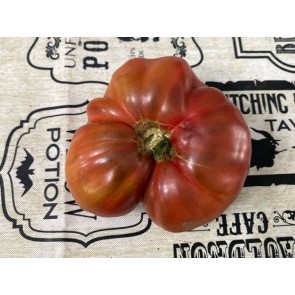 Tomato 'Purple Passion' Seeds (Certified Organic)