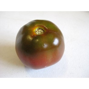 Tomato 'Black Prince'