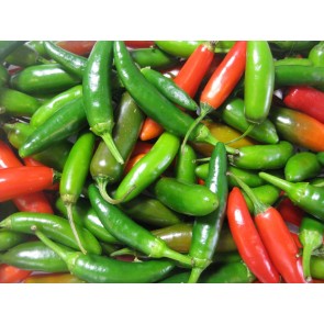 Hot Pepper ‘Serrano’ Seeds (Certified Organic)