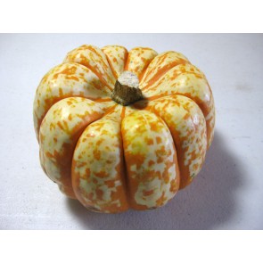 Pumpkin 'Tiger Stripes' Seeds (Certified Organic)
