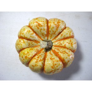 Pumpkin 'Tiger Stripes' Seeds (Certified Organic)
