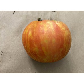 Tomato 'Red Striped Furry Hog' Seeds (Certified Organic)