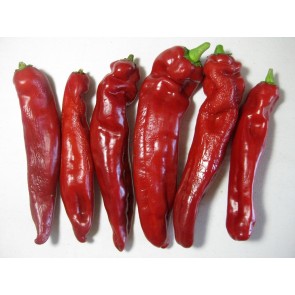 Pepper 'Ancient Sweets' AKA 'Sweet Twister' Seeds (Certified Organic)