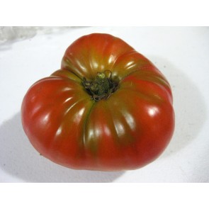 Tomato 'Burgess Climbing Trip-L-Crop' Seeds (Certified Organic)