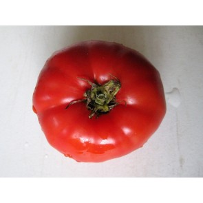 Tomato 'Palo Alto' Seeds (Certified Organic)