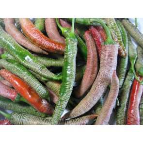 Hot Pepper ‘Rezha Macedonian’ Seeds (Certified Organic)