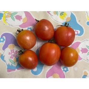 Tomato 'German Lunchbox' Seeds (Certified Organic)