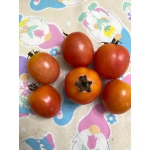 Tomato 'German Lunchbox' Seeds (Certified Organic)