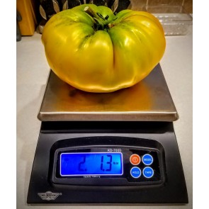 Tomato 'Gold Medal' Seeds (Certified Organic)