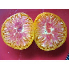 Tomato 'Pineapple' Seeds (Certified Organic)