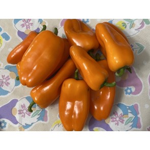 Sweet Pepper 'Lunch Box Orange' Seeds (Certified Organic)