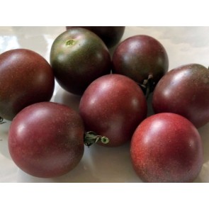 Tomato 'Black Cherry'