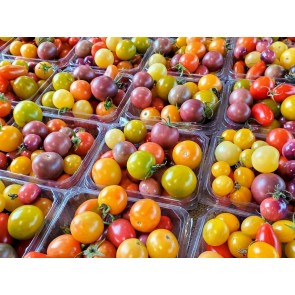 Heirloom Cherry Tomatoes