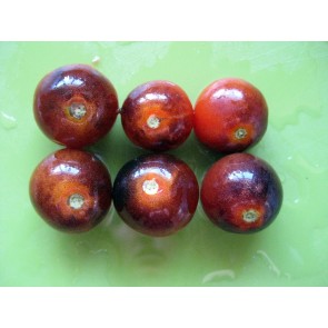 Tomato 'Blue Pitts' Seeds (Certified Organic)