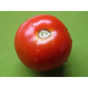 Tomato 'Sweet n' Bright' Seeds (Certified Organic)