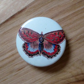 Orange Butterfly, Light Green Background Pinback Button