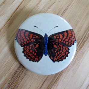 Orange and Black Butterfly, Light Green Background Pinback Button